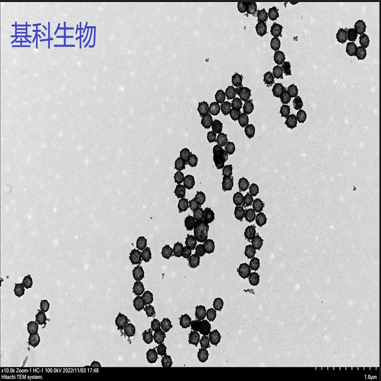 中空介孔氧化铈(图1)