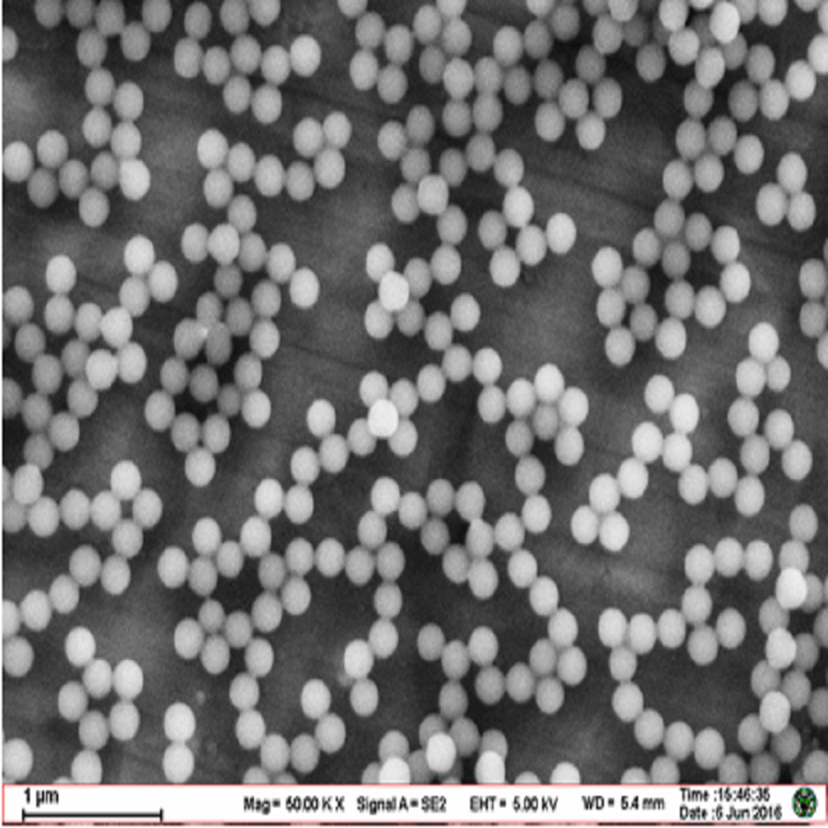 氨基红色荧光微球（20nm-10um可选）