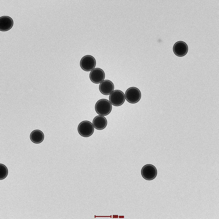 链霉亲和素（SA）修饰聚苯乙烯微球（20nm-100um可选）