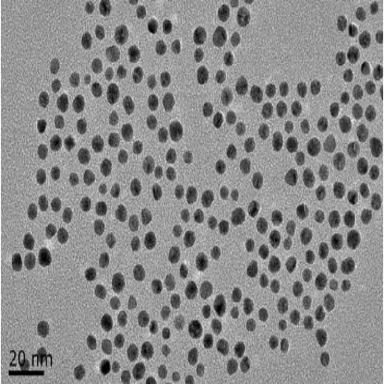 水溶性银纳米颗粒（5-300nm）可选