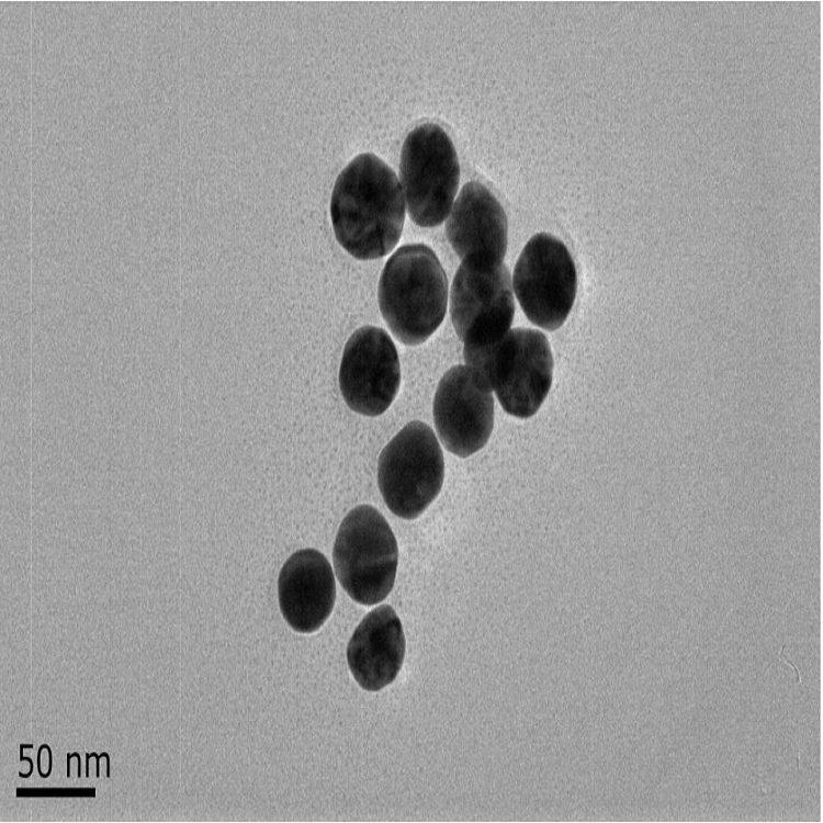 油溶性银纳米颗粒（5-300nm）可选