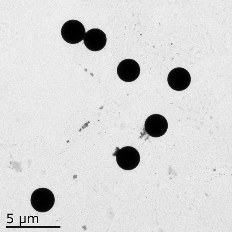 链霉亲和素（SA）修饰二氧化硅微球（20nm-10um可选）