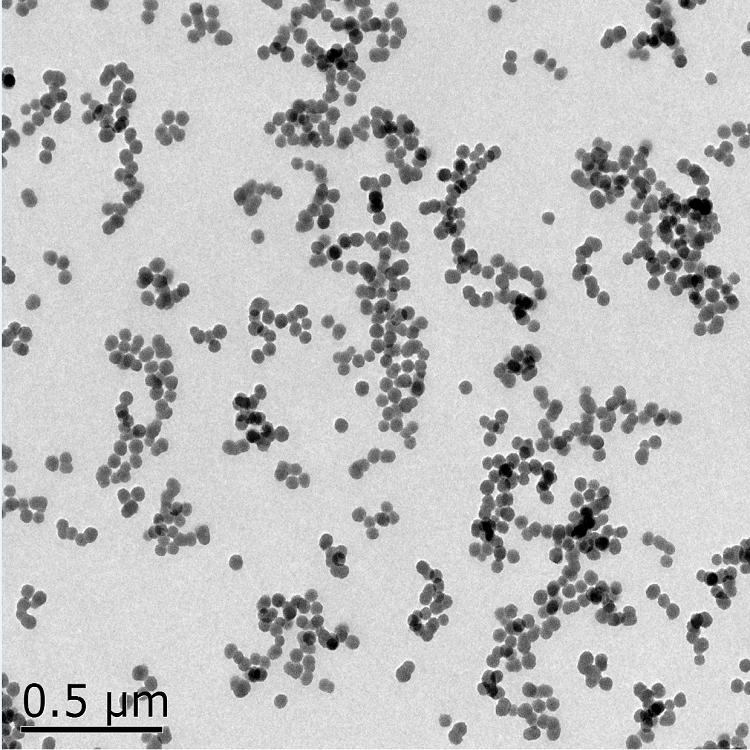 羧基介孔二氧化硅纳米颗粒（50-300nm可选）