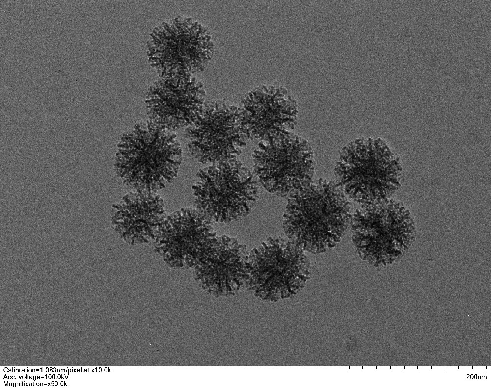 大孔径介孔二氧化硅纳米颗粒（40-200nm可选）
