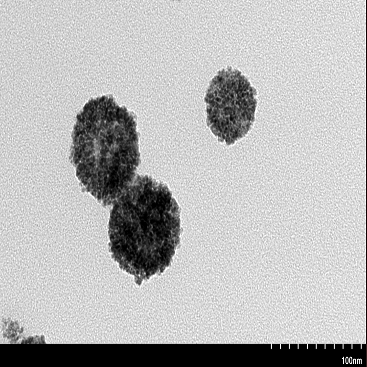 1693279716384730.jpg 介孔二氧化铈.jpg