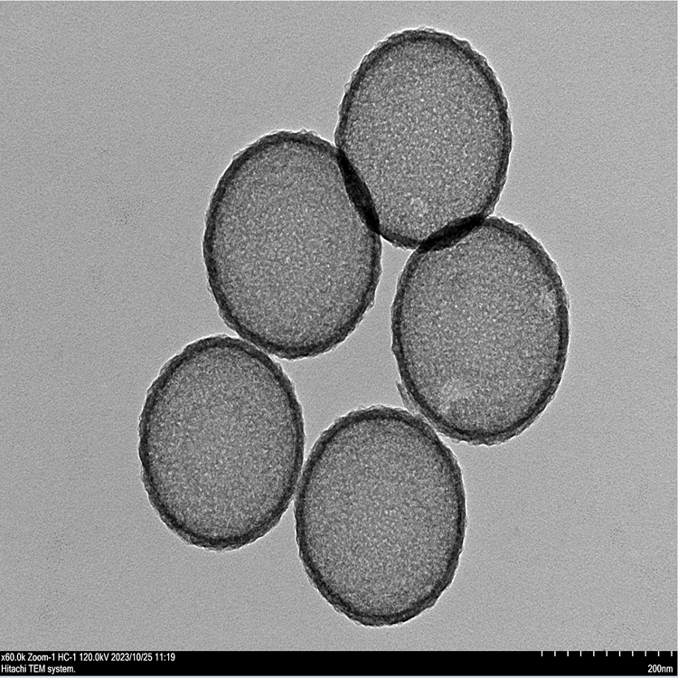 1698324317207845.png 中空介孔碳纳米球.png