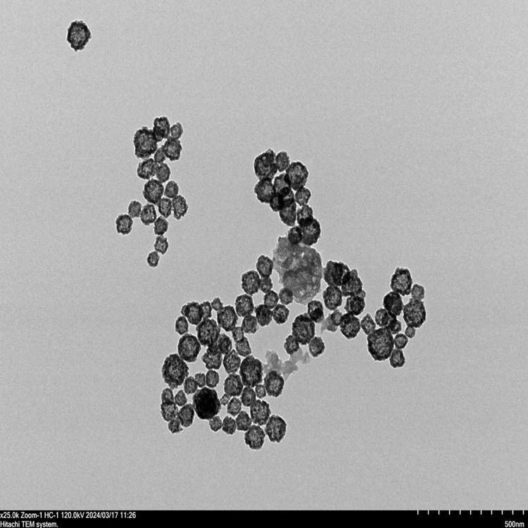 60-70nm中空介孔硫化铜纳米颗粒