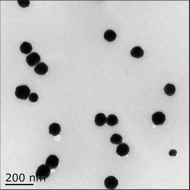 水溶性银纳米颗粒（5-300nm）可选