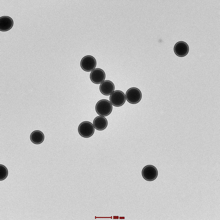 氨基绿色荧光微球（20nm-10um可选）